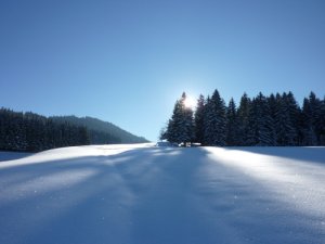 Trécout depuis le Col du Feu - JPEG - 173.8 ko